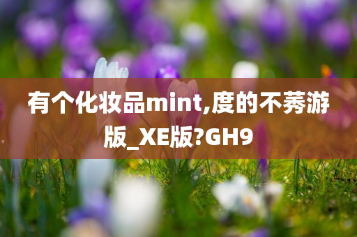 有个化妆品mint,度的不莠游版_XE版?GH9