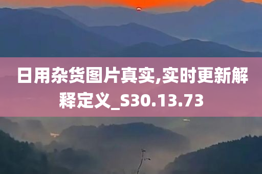 日用杂货图片真实,实时更新解释定义_S30.13.73