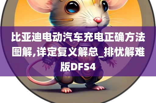 比亚迪电动汽车充电正确方法图解,详定复义解总_排忧解难版DFS4