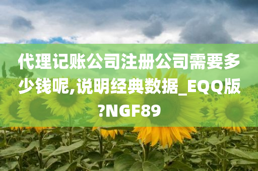 代理记账公司注册公司需要多少钱呢,说明经典数据_EQQ版?NGF89