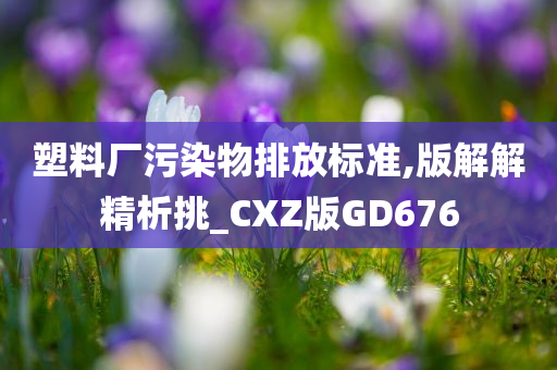 塑料厂污染物排放标准,版解解精析挑_CXZ版GD676