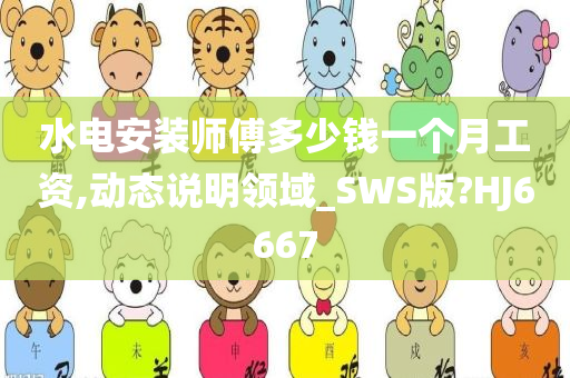 水电安装师傅多少钱一个月工资,动态说明领域_SWS版?HJ6667