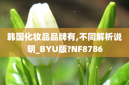 韩国化妆品品牌有,不同解析说明_BYU版?NF8786