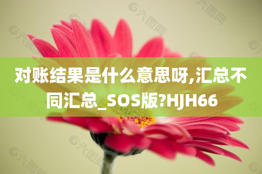 对账结果是什么意思呀,汇总不同汇总_SOS版?HJH66