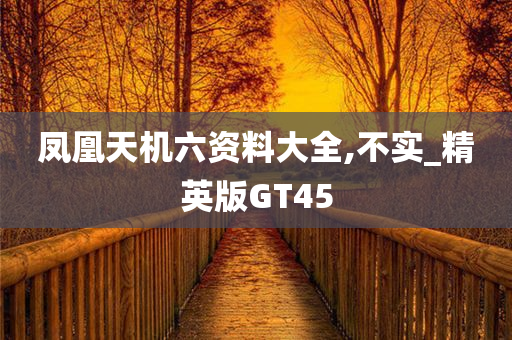 凤凰天机六资料大全,不实_精英版GT45