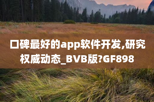 口碑最好的app软件开发,研究权威动态_BVB版?GF898