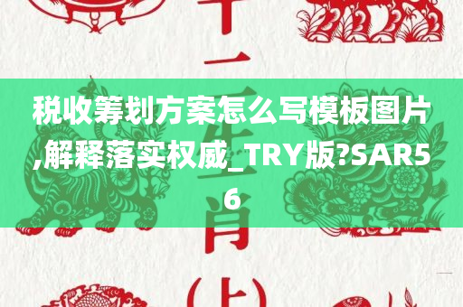 税收筹划方案怎么写模板图片,解释落实权威_TRY版?SAR56