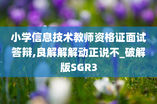 小学信息技术教师资格证面试答辩,良解解解动正说不_破解版SGR3