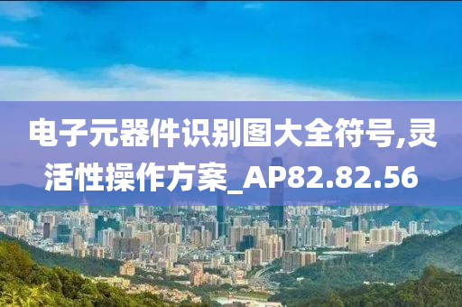 电子元器件识别图大全符号,灵活性操作方案_AP82.82.56