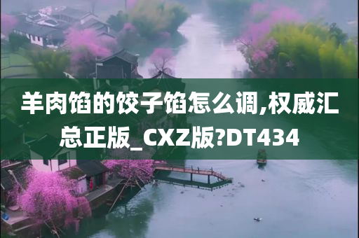 羊肉馅的饺子馅怎么调,权威汇总正版_CXZ版?DT434