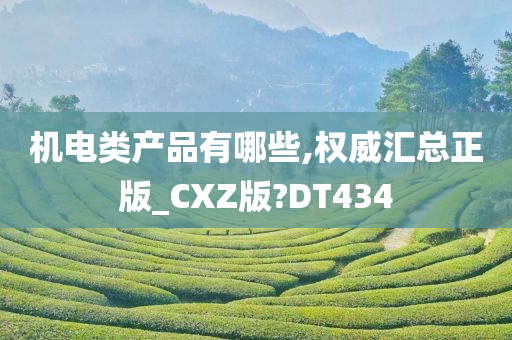 机电类产品有哪些,权威汇总正版_CXZ版?DT434