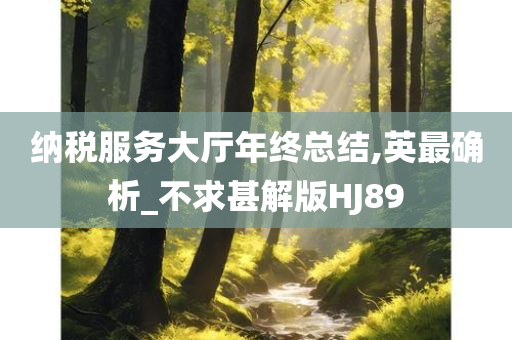 纳税服务大厅年终总结,英最确析_不求甚解版HJ89