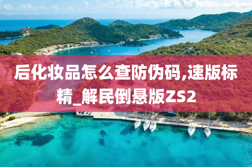 后化妆品怎么查防伪码,速版标精_解民倒悬版ZS2