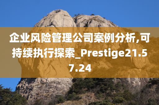 企业风险管理公司案例分析,可持续执行探索_Prestige21.57.24