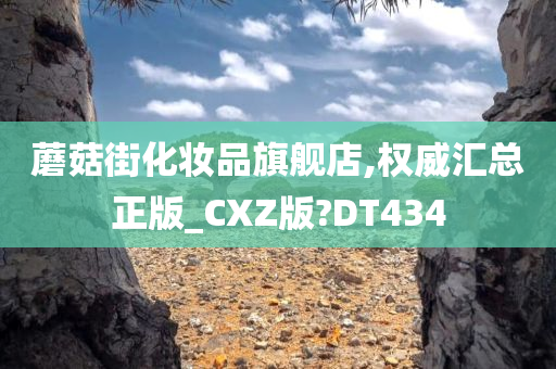 蘑菇街化妆品旗舰店,权威汇总正版_CXZ版?DT434