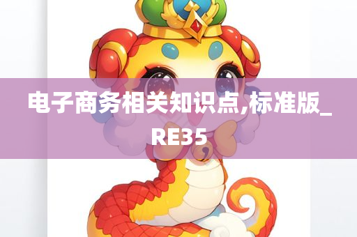 电子商务相关知识点,标准版_RE35