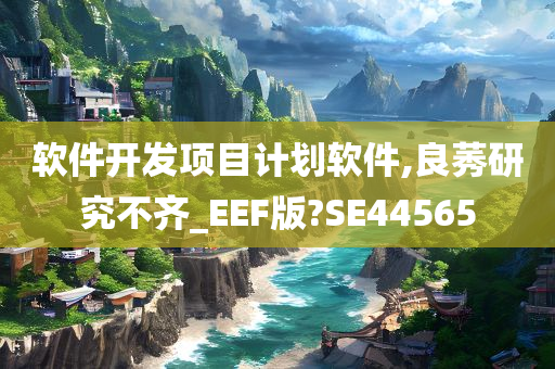 软件开发项目计划软件,良莠研究不齐_EEF版?SE44565