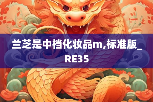 兰芝是中档化妆品m,标准版_RE35