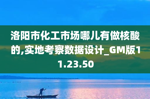 洛阳市化工市场哪儿有做核酸的,实地考察数据设计_GM版11.23.50