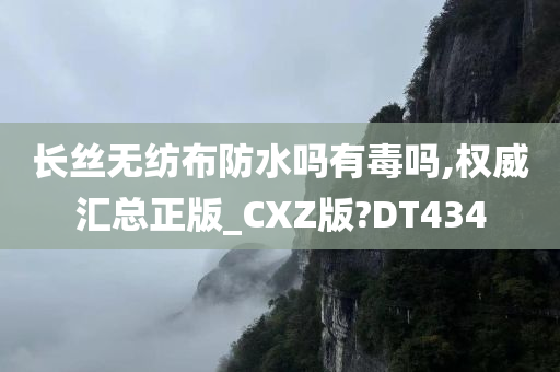 长丝无纺布防水吗有毒吗,权威汇总正版_CXZ版?DT434