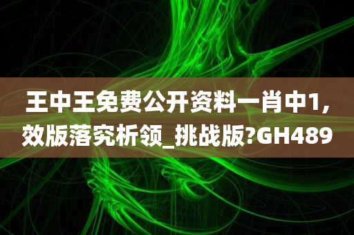 王中王免费公开资料一肖中1,效版落究析领_挑战版?GH489