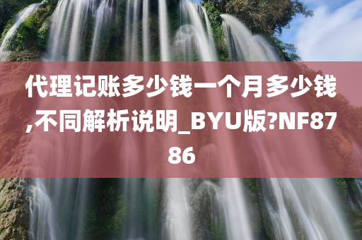 代理记账多少钱一个月多少钱,不同解析说明_BYU版?NF8786