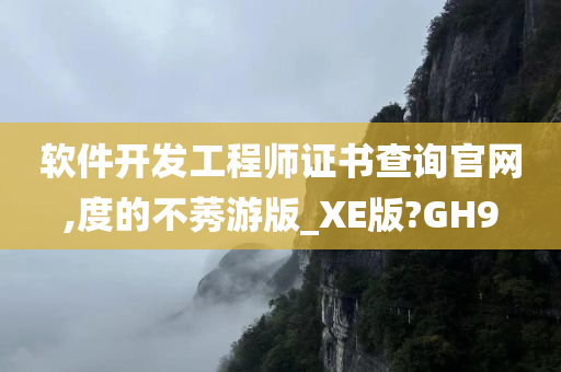 软件开发工程师证书查询官网,度的不莠游版_XE版?GH9