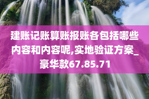 建账记账算账报账各包括哪些内容和内容呢,实地验证方案_豪华款67.85.71