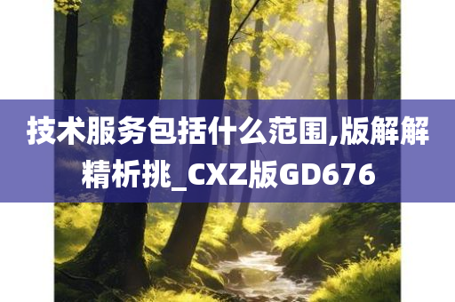 技术服务包括什么范围,版解解精析挑_CXZ版GD676