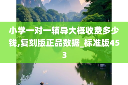 小学一对一辅导大概收费多少钱,复刻版正品数据_标准版453