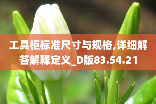 工具柜标准尺寸与规格,详细解答解释定义_D版83.54.21