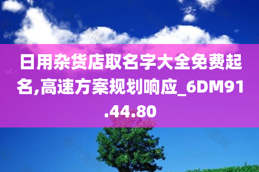 日用杂货店取名字大全免费起名,高速方案规划响应_6DM91.44.80