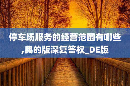 停车场服务的经营范围有哪些,典的版深复答权_DE版