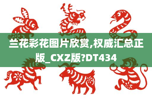 兰花彩花图片欣赏,权威汇总正版_CXZ版?DT434