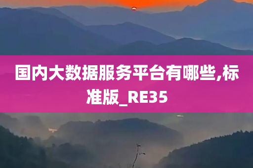 国内大数据服务平台有哪些,标准版_RE35