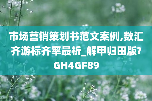 市场营销策划书范文案例,数汇齐游标齐率最析_解甲归田版?GH4GF89