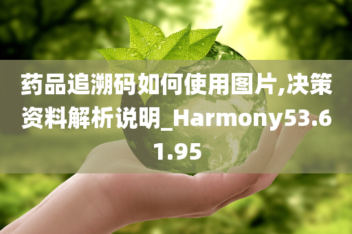 药品追溯码如何使用图片,决策资料解析说明_Harmony53.61.95