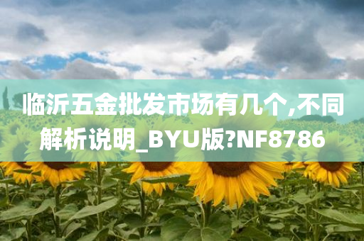 临沂五金批发市场有几个,不同解析说明_BYU版?NF8786