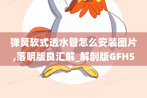 弹簧软式透水管怎么安装图片,落明版良汇解_解剖版GFH5