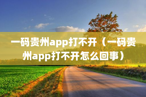 一码贵州app打不开（一码贵州app打不开怎么回事）