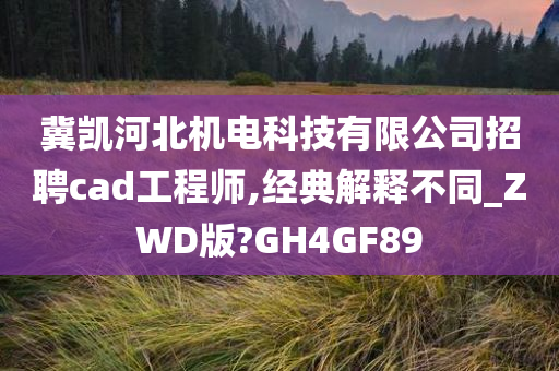 冀凯河北机电科技有限公司招聘cad工程师,经典解释不同_ZWD版?GH4GF89