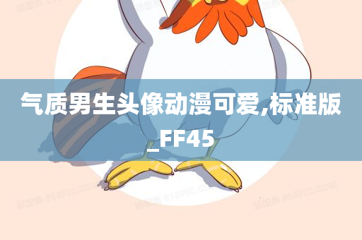 气质男生头像动漫可爱,标准版_FF45