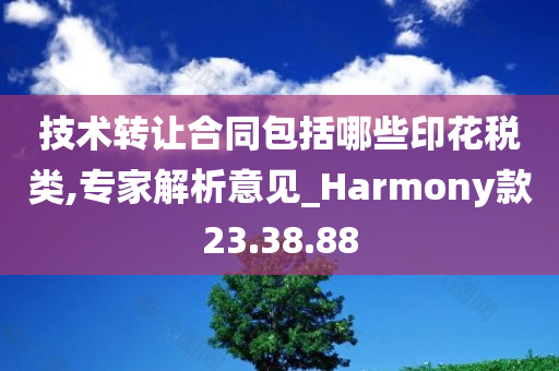 技术转让合同包括哪些印花税类,专家解析意见_Harmony款23.38.88