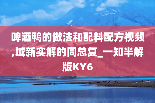 啤酒鸭的做法和配料配方视频,域新实解的同总复_一知半解版KY6