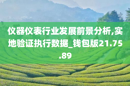 仪器仪表行业发展前景分析,实地验证执行数据_钱包版21.75.89