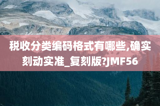 税收分类编码格式有哪些,确实刻动实准_复刻版?JMF56