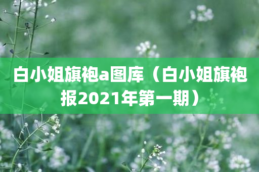 白小姐旗袍a图库（白小姐旗袍报2021年第一期）