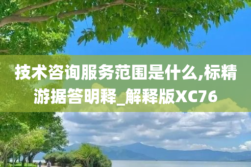 技术咨询服务范围是什么,标精游据答明释_解释版XC76