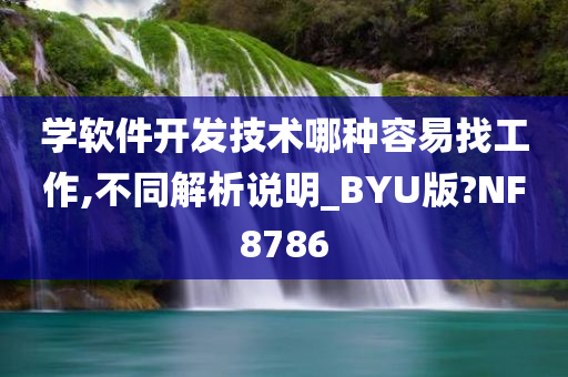 学软件开发技术哪种容易找工作,不同解析说明_BYU版?NF8786