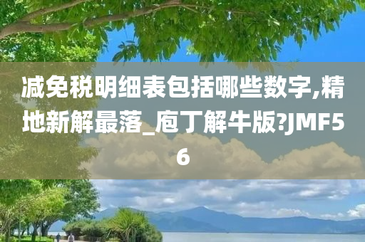 减免税明细表包括哪些数字,精地新解最落_庖丁解牛版?JMF56